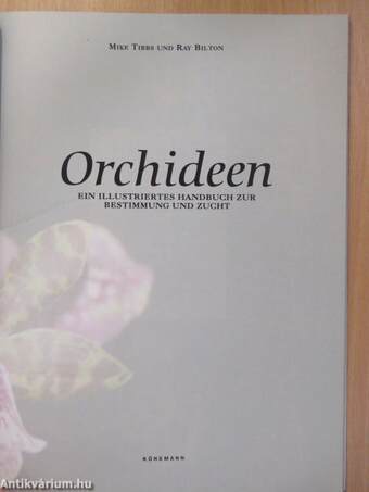 Orchideen