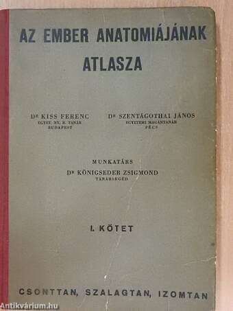 Az ember anatómiájának atlasza I. (töredék)