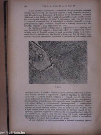 Die Bedeutung der Spurenkunde in der Gerichtlichen Medizin/Bókay János emlékének/Dolgozatok Budapest székesfőváros Új Szent János kórházának gyermekgümőkóros osztályáról, annak tízéves fennállása alkalmából 1928-1938/Kubinyi Pál emlékének