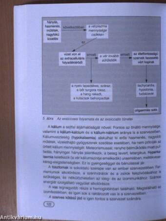 Kórtani alapismeretek