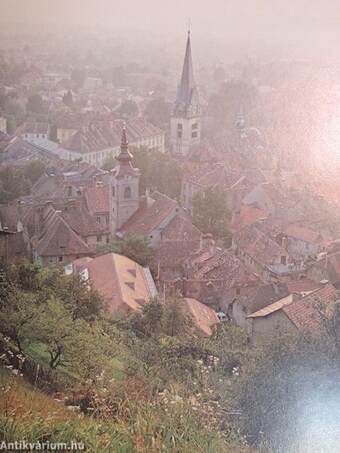 Ljubljana