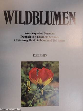 Wildblumen