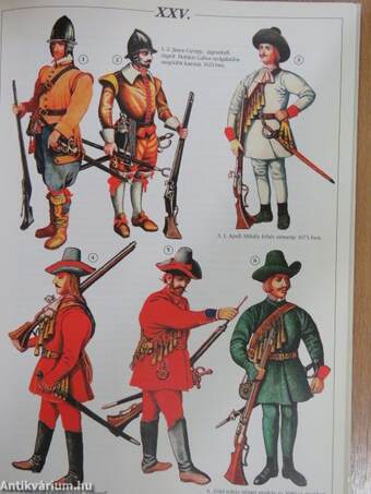 Az erdélyi fejedelemség hadserege