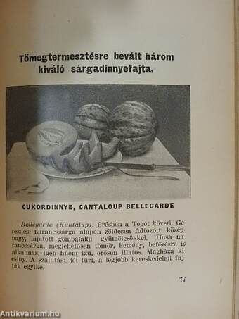 Monori Mag Zsebnaptára 1937.