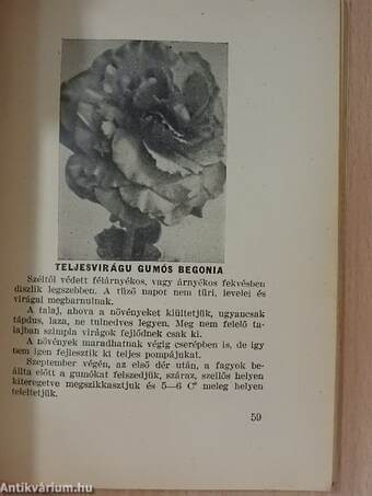 Monori Mag Zsebnaptára 1937.