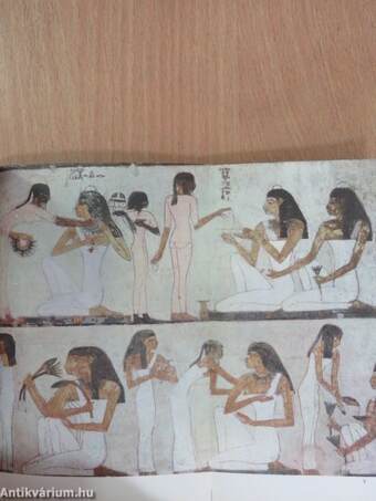 Egyptian Wall-Paintings