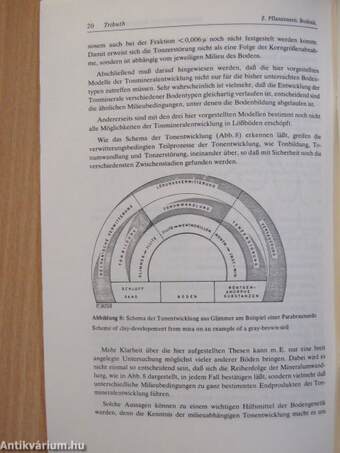 Die Umwandlung der glimmerartigen Schichtsilikate zu aufweitbaren Dreischicht-Tonmineralen