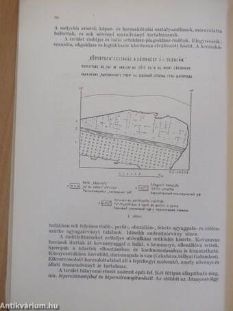 A Magyar Állami Földtani Intézet évi jelentése az 1954. évről