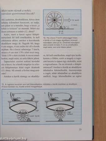 Az élő fizika I.