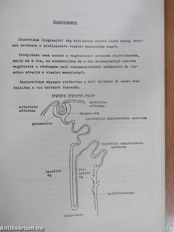 Gyógyszerkutatási tanulmányok I-II.