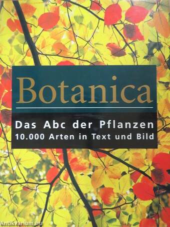 Botanica