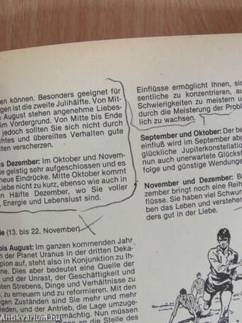 Huters Astrologischer Kalender für das Jupiterjahr 1980