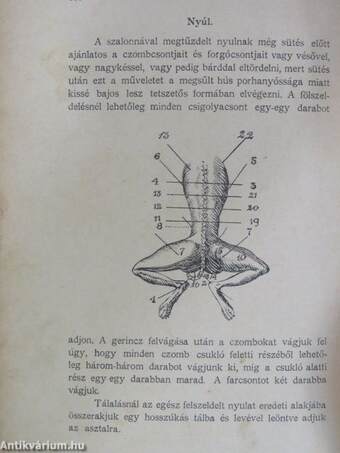 Gyakorlati szakácskönyv