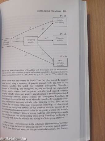 European Review of Social Psychology 18.