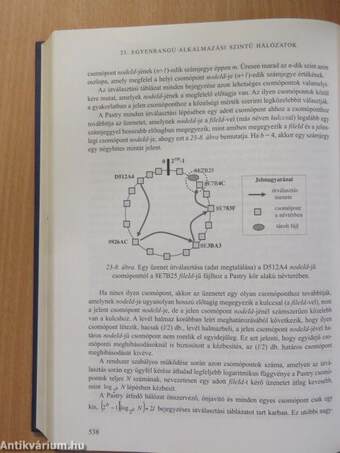 Az internetes kommunikáció informatikai alapjai - CD-vel