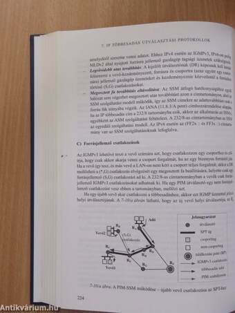 Az internetes kommunikáció informatikai alapjai - CD-vel