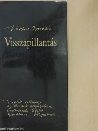 Visszapillantás