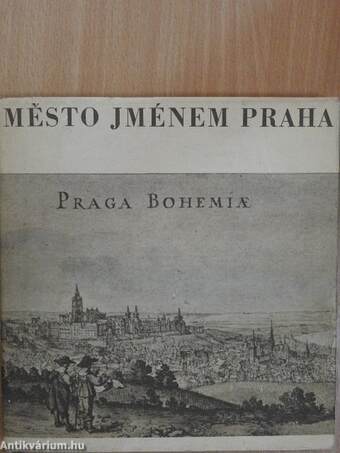 Mesto Jménem Praha