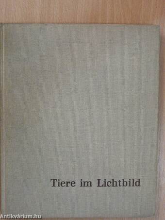 Tiere im Lichtbild