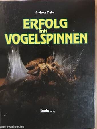 Erfolg mit Vogelspinnen