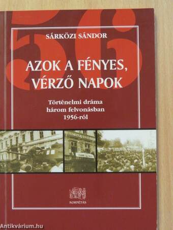 Azok a fényes, vérző napok