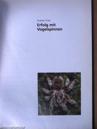 Erfolg mit Vogelspinnen