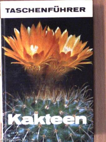 Kakteen