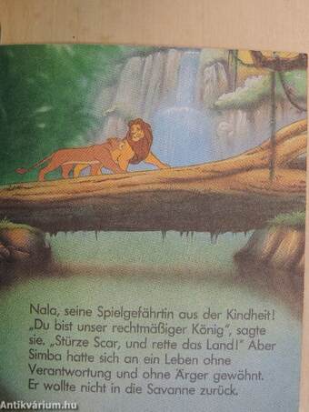 Bei Pumbaa und Timon