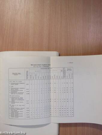 A Magyar Állami Földtani Intézet évi jelentése az 1961. évről I.