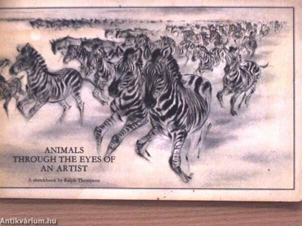 Animals through the eyes of an artist