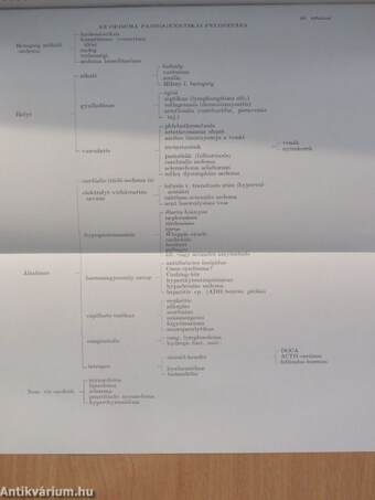 Határterületi differenciál-diagnosztika