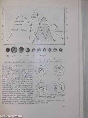 Laboratóriumi diagnosztika