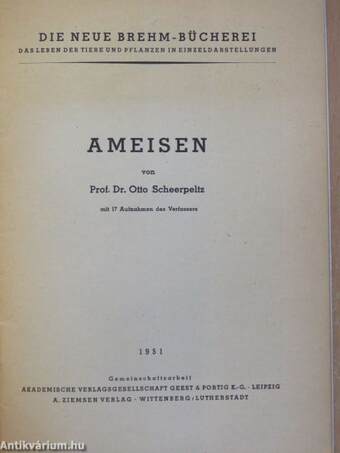 Ameisen