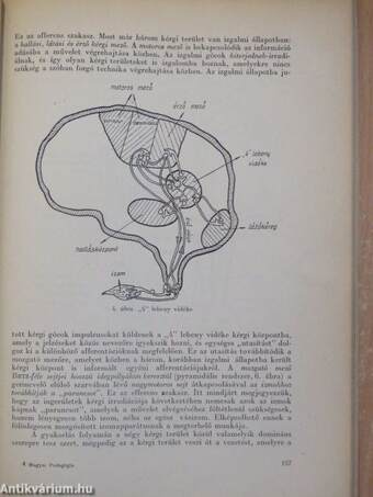 Magyar Pedagógia 1966/2.