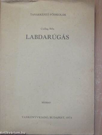 Labdarúgás