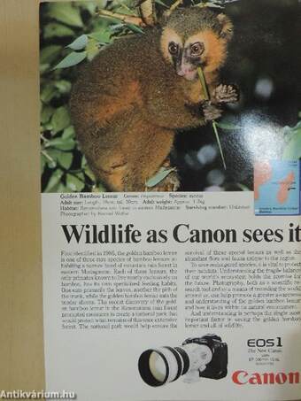 National Geographic December 1989