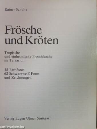 Frösche und Kröten