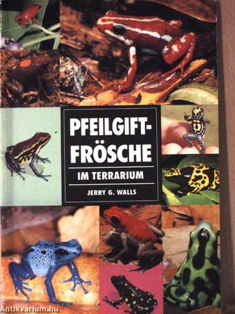 Pfeilgiftfrösche im Terrarium