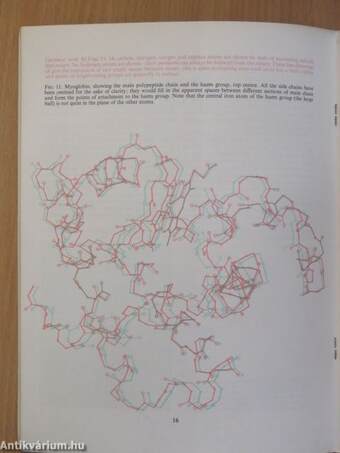 Protein Structure