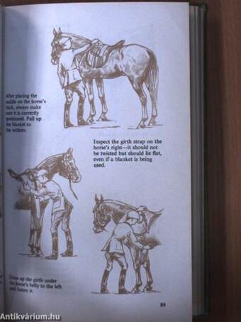 The Horse and Horsemanship