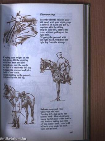 The Horse and Horsemanship