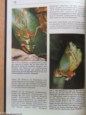 Amphibienforschung und Vivarium