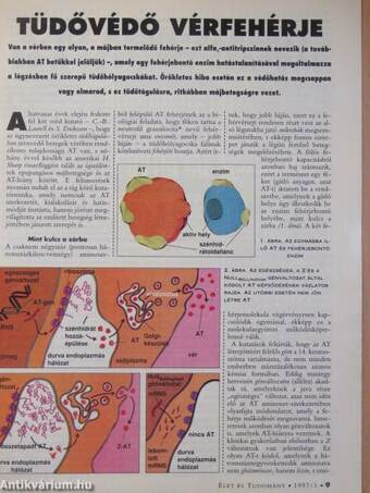 Élet és Tudomány 1997. (nem teljes évfolyam)