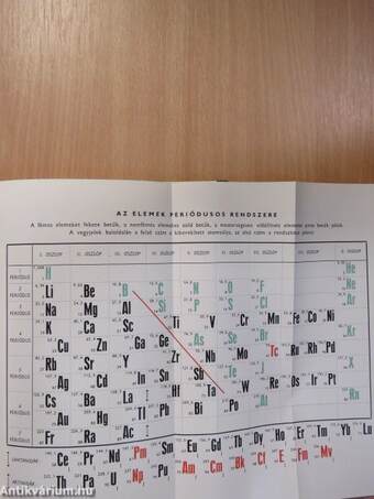 Az emberi test 1. (töredék)