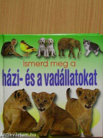 Ismerd meg a házi- és a vadállatokat