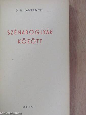 Szénaboglyák között