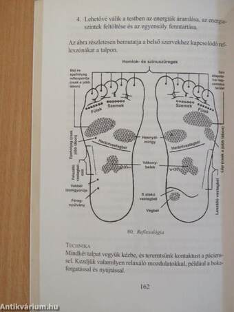 Ayurveda és a wellness