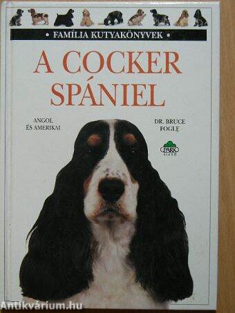 A cocker spániel