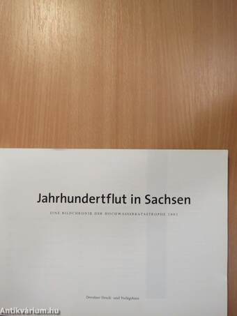 Jahrhundertflut in Sachsen