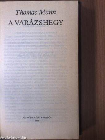 A varázshegy